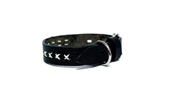 COLLARES