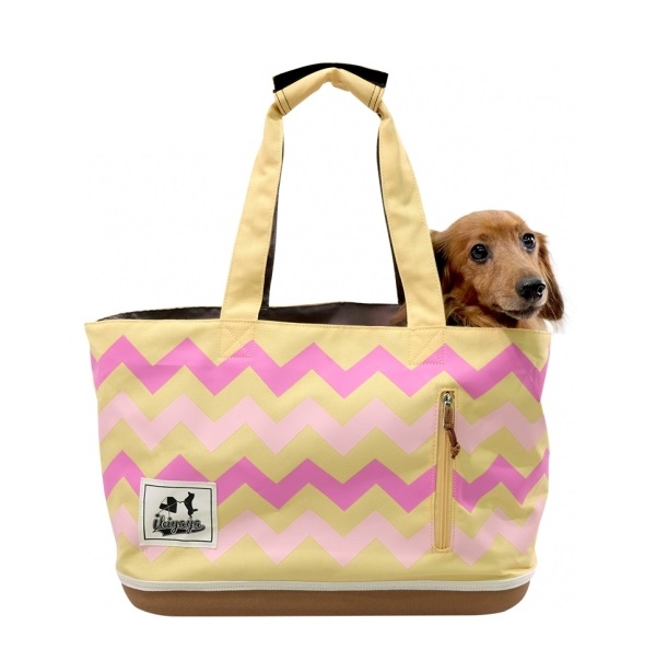 BOLSOS DE TRANSPORTE