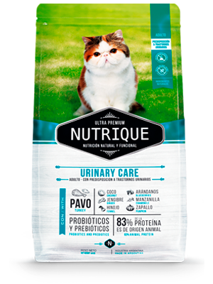 URINARY