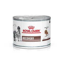 RECOVERY / CRITICAL CARE