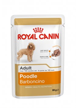 CANICHE/POODLE