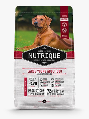 [70019] Nutrique Large Young Adult Dog (3 kg)