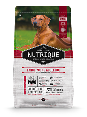 Nutrique Large Adult 6+ Dog