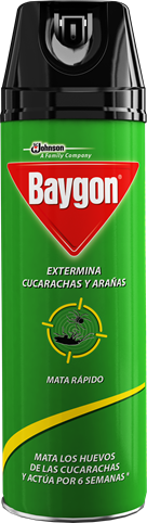 [COG-MIG13-13361] Baygon mata cucarachas y arañas x 197 g