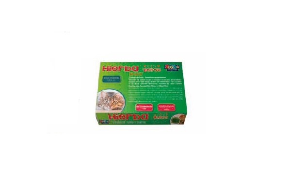 HIERBA PARA GATO - ZOOTEC