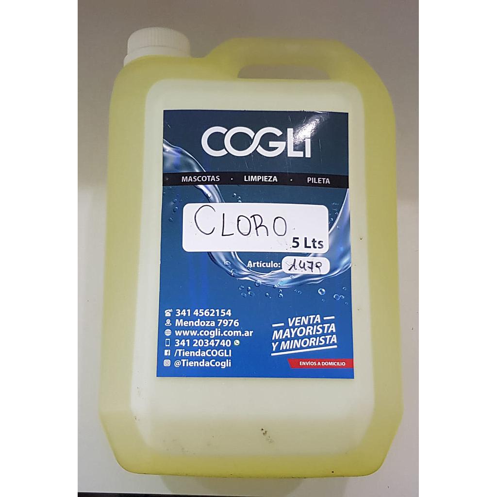 Cloro (100 % Hipoclorito De Sodio) 5 Lts SI LLEVAN EL BIDON DESCONTAR $1000