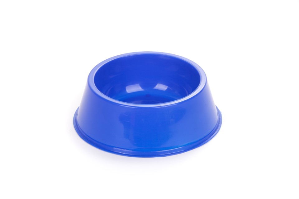 [COG-MIG13-14709] Comedero Básico Pets Plast (Naranja, Mediano)