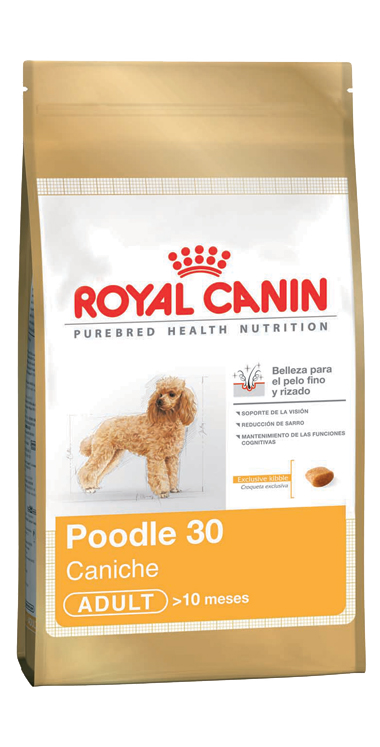 Royal Canin Caniche Adulto