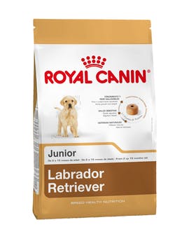 [3821120] Royal Canin Labrador Retriever Puppy
