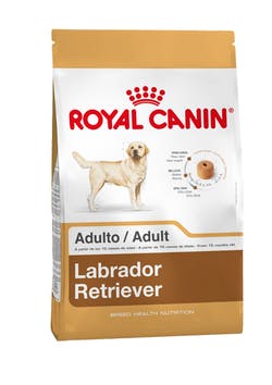 [2487120] Royal Canin Labrador Retriever Adulto