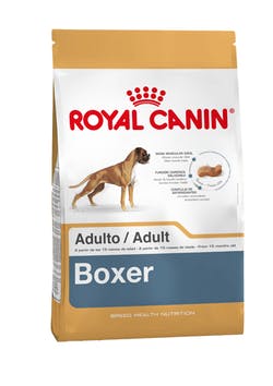 [2588120] Royal Canin Boxer Adulto