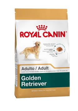 [3815120] Royal Canin Golden Retriever Adulto