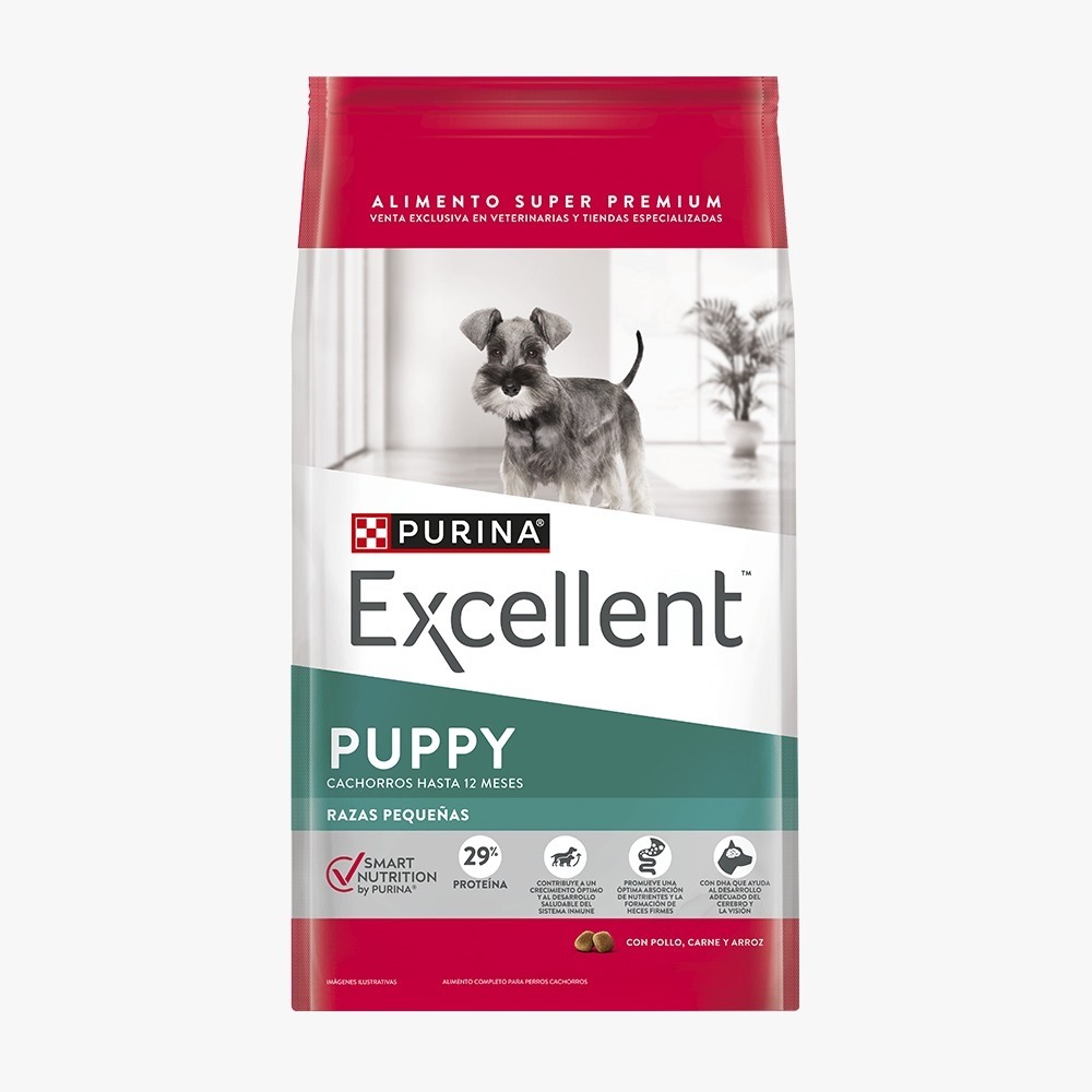 Excellent PUPPY Razas Pequeñas
