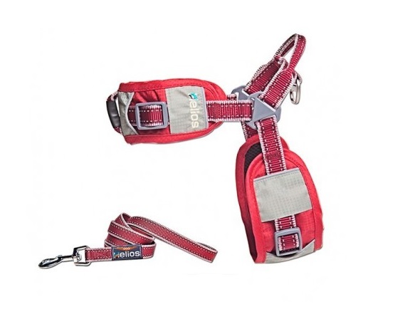 [339166] Helios Pretal Training Rojo (S)