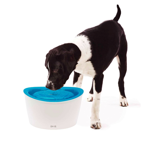 Fuente Dog It 6 L