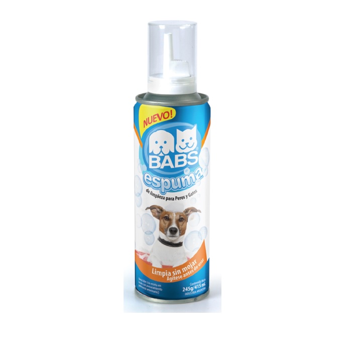 [160033] Espuma Seca 162Gr - BABS