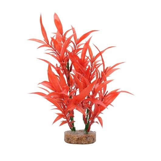Fluval Plant Intense Red Hygro