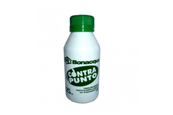 Contrapunto Bonacqua 125 cm3