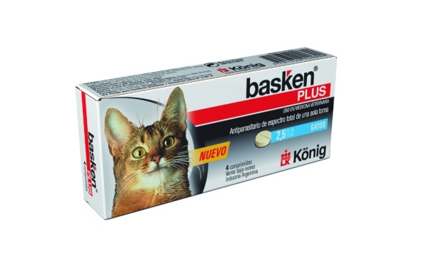 [171020] Basken Plus Gatos