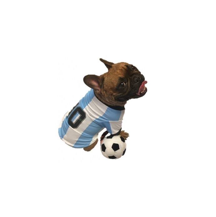 Camiseta Argentina