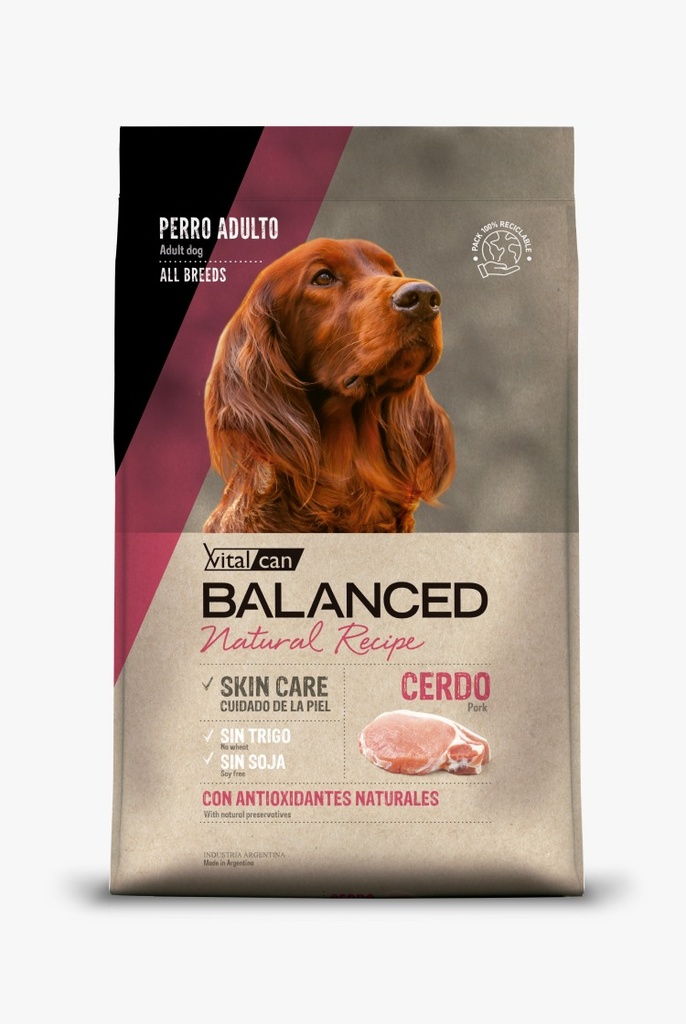 Balanced Natural Recipe Perro Cerdo