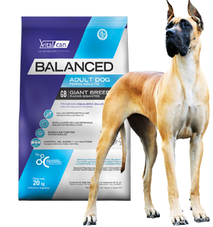 [11721] Balanced Perro Adulto Raza Gigante