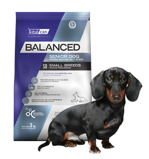 Balanced Perro Senior Raza Pequeña