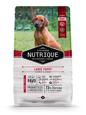 Nutrique Large Puppy
