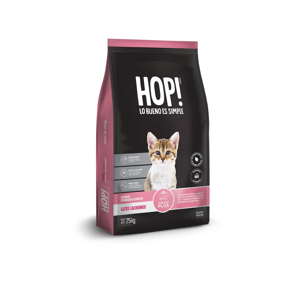 Hop! Gato Kitten