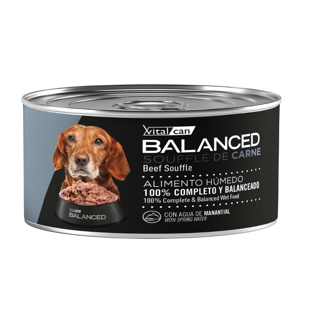 Balanced Souffle de Carne Perro Senior