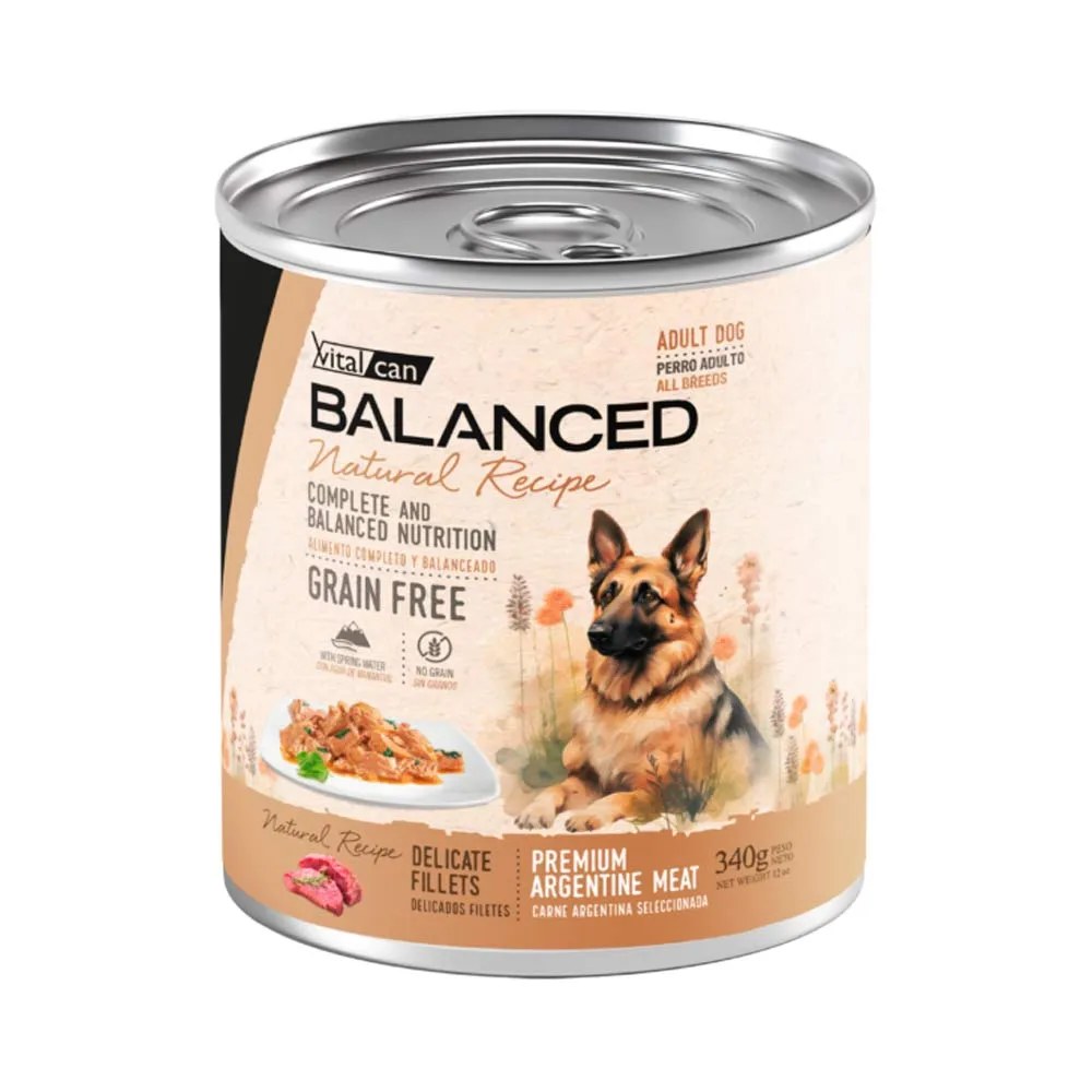 Natural Recipe Filetes Carne Perro Adulto