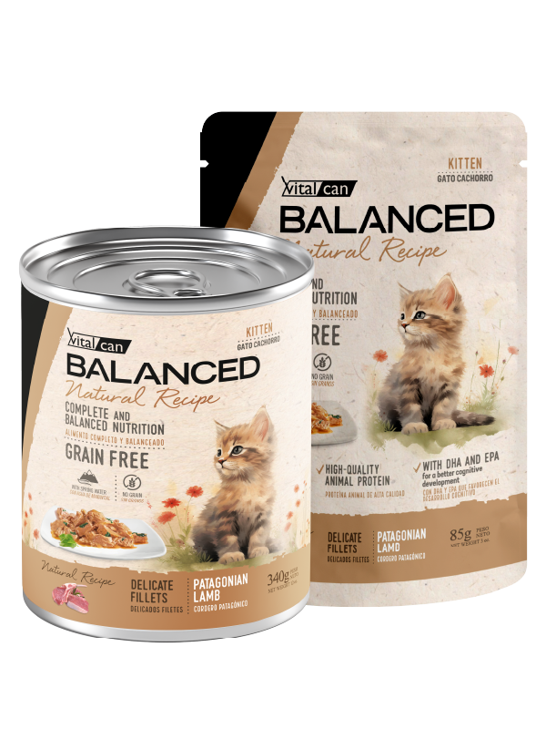 [132099] Natural Recipe Filetes Cordero Gato Cachorro (85 g x 12 u)