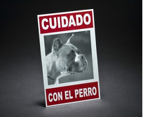 CARTELES